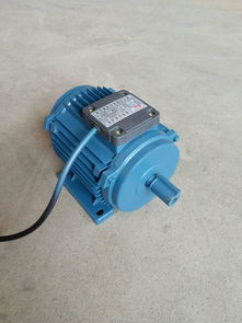 三相380v60hz1.1kw負壓風機專用電機,三相380v60hz1.1kw負壓風機專用電機生產廠家,三相380v60hz1.1kw負壓風機專用電機價格